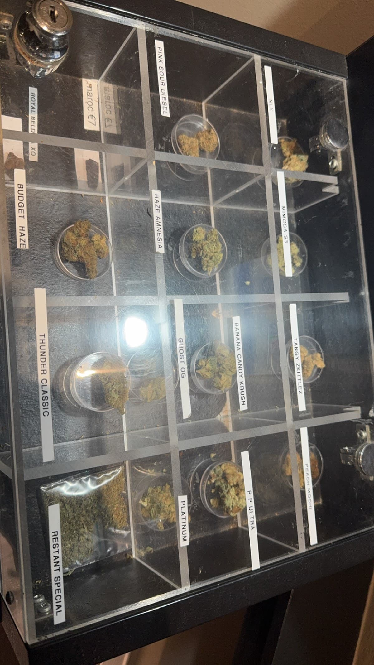 Thunderbird - Foto 2