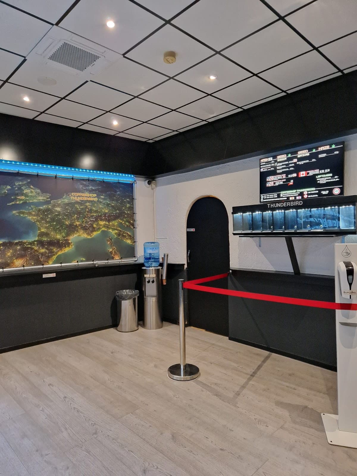 Thunderbird - Foto 3