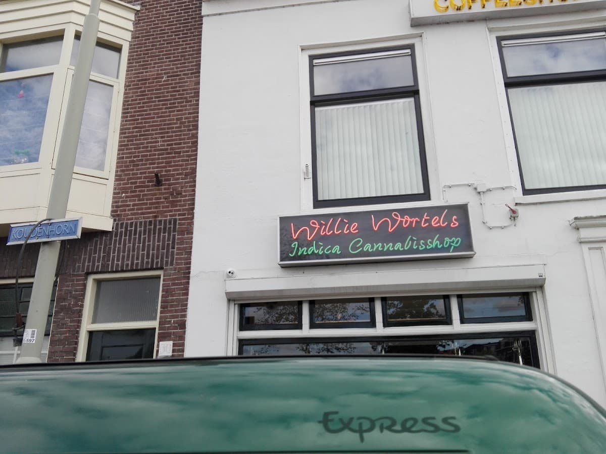 Willie Wortel's Indica - Foto 4