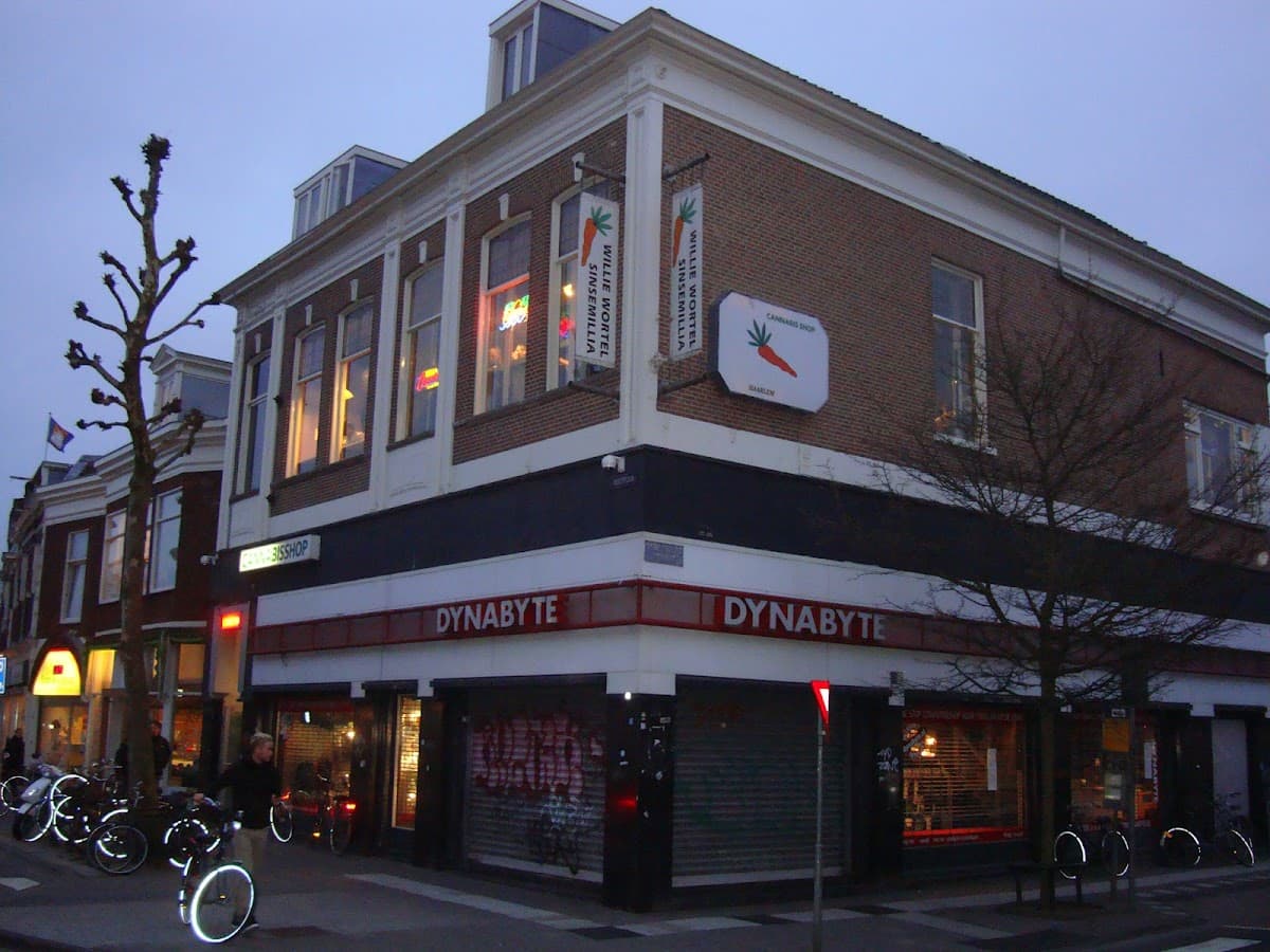 Willie Wortel's Sinsemilla