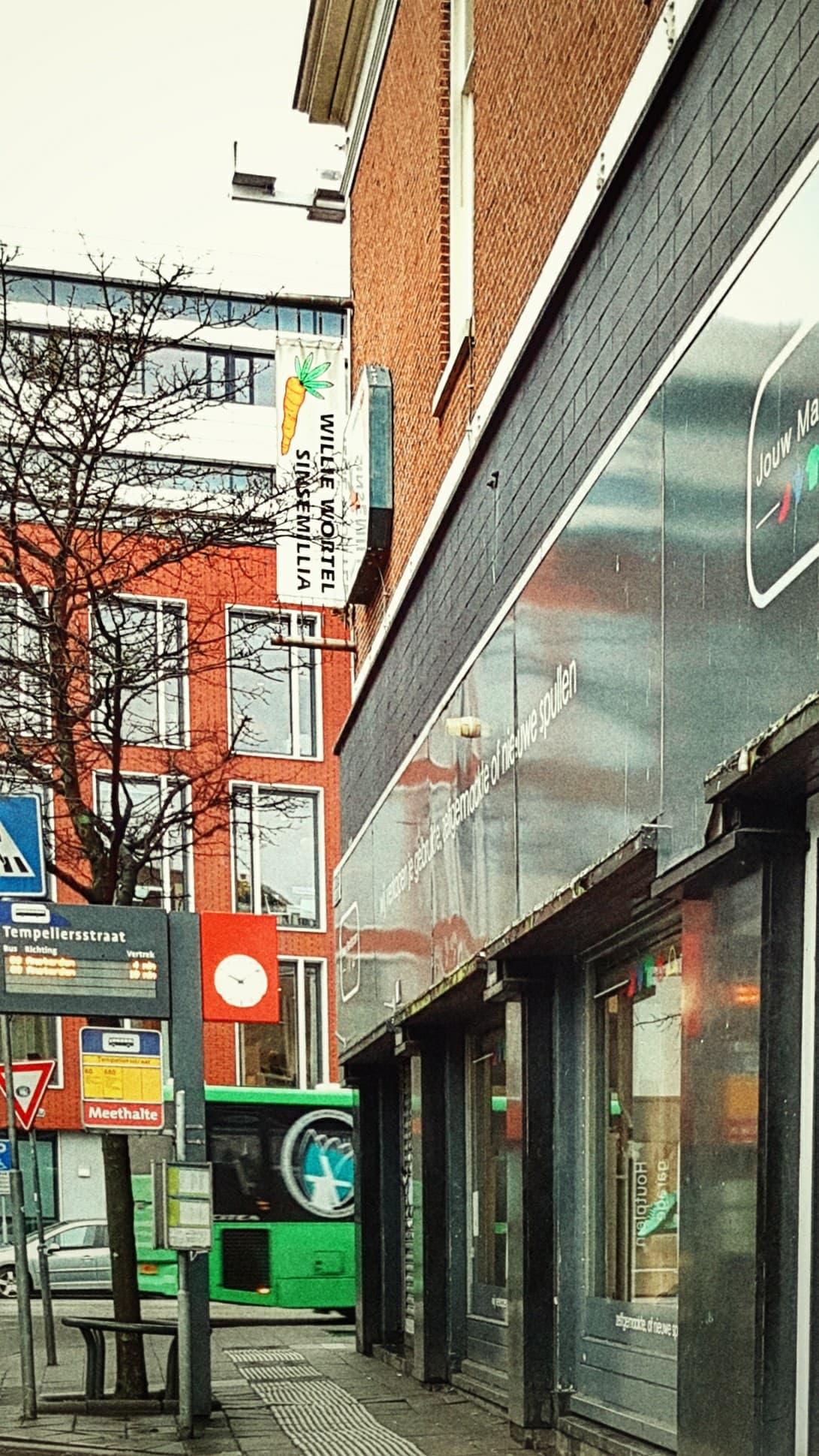 Willie Wortel's Sinsemilla - Foto 4