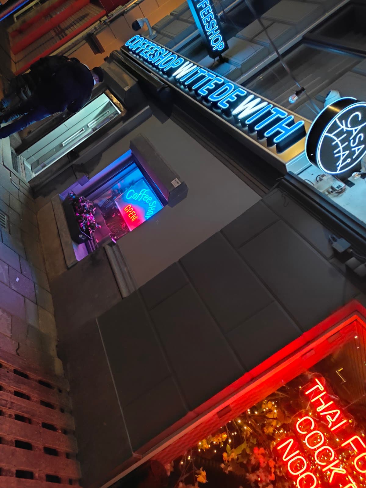 Witte de With - Foto 3